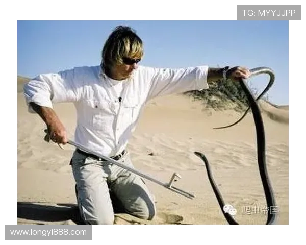 足球场上的疯狂传奇:那些让人瞠目结舌的明星故事与背后的黑暗面